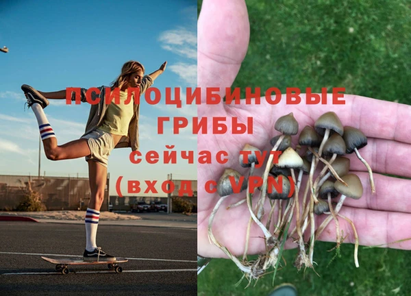 Альфа ПВП Надым