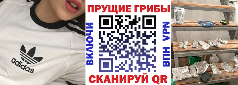 Псилоцибиновые грибы Magic Shrooms  Дубна 