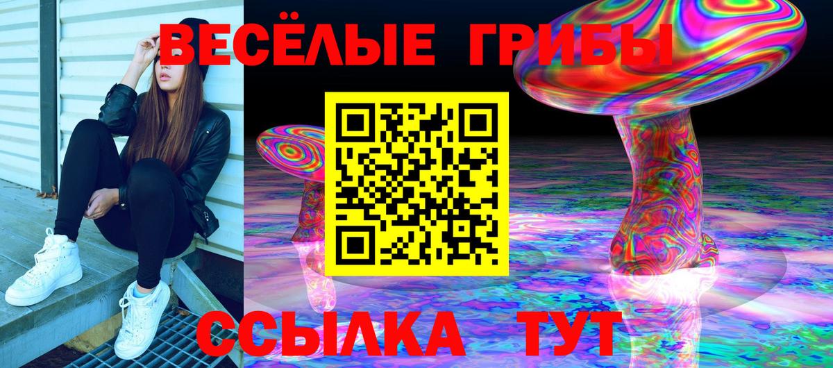 Галлюциногенные грибы Cubensis Дубна