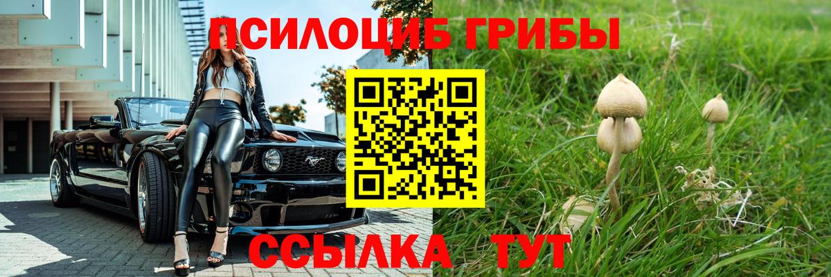 Псилоцибиновые грибы мицелий Дубна