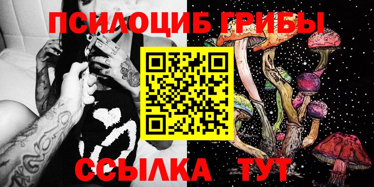 Галлюциногенные грибы Psilocybine cubensis  Дубна 