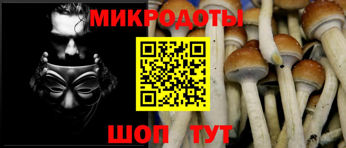 Псилоцибиновые грибы прущие грибы  Вход с VPN  Дубна 