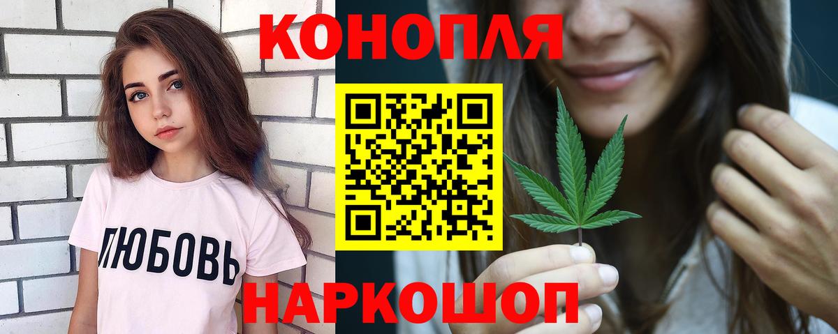 Канабис планчик Дубна