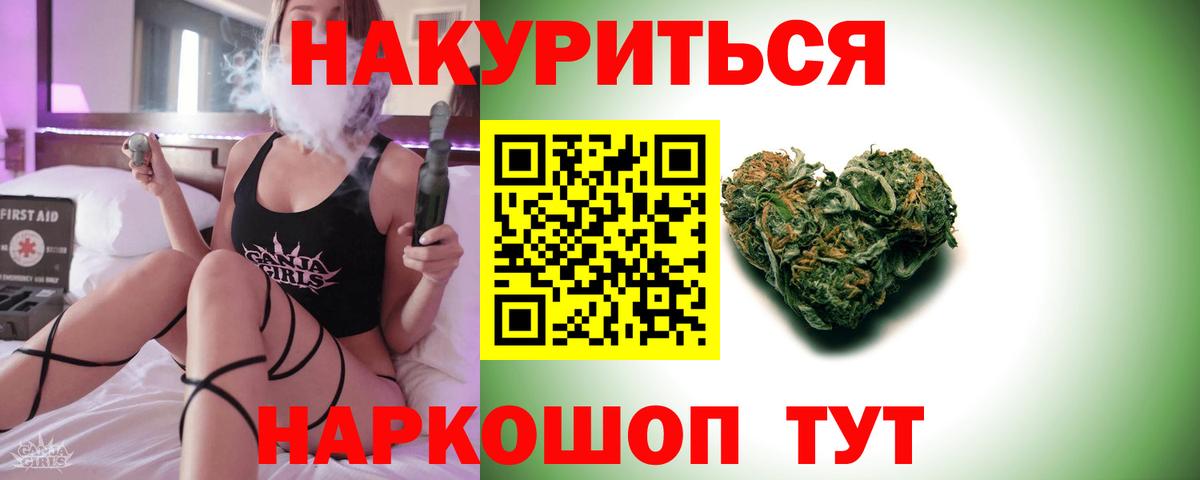 Конопля сатива Дубна